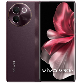 vivo V30e